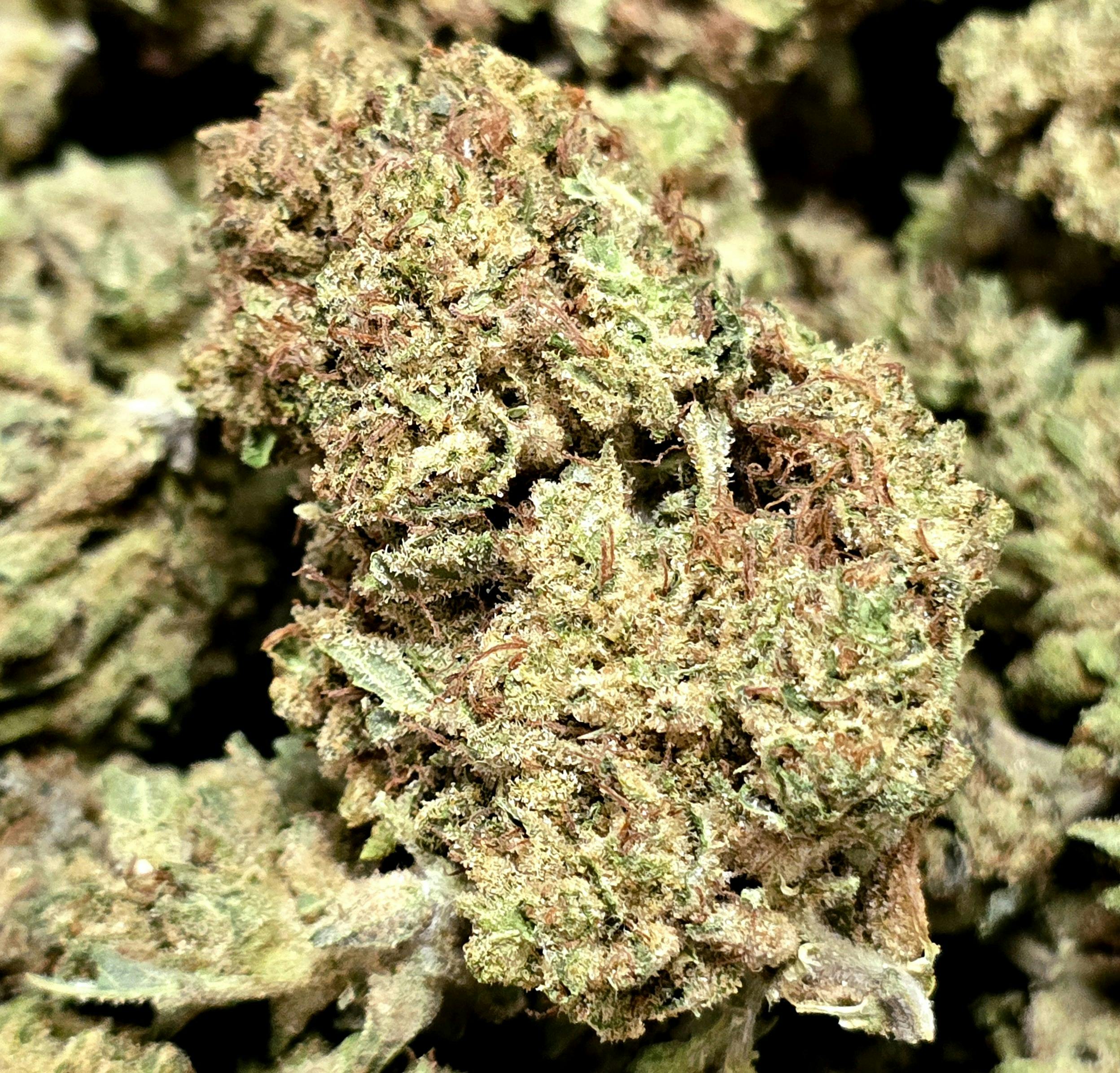 Trainwreck Flo cannabis product