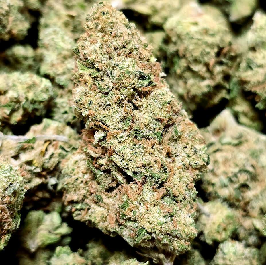 Gods Widow
