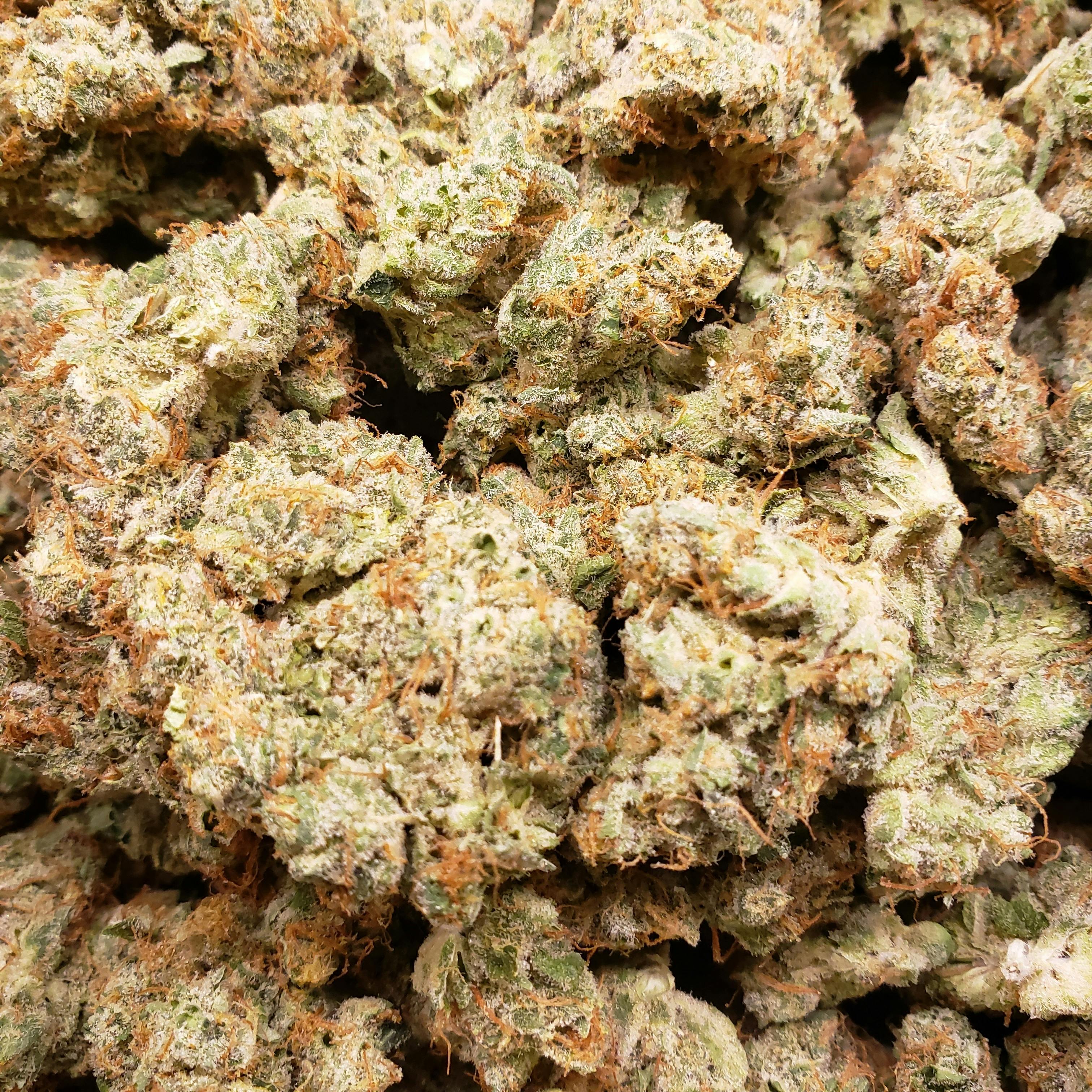 Kaya | Lemon Head Delight