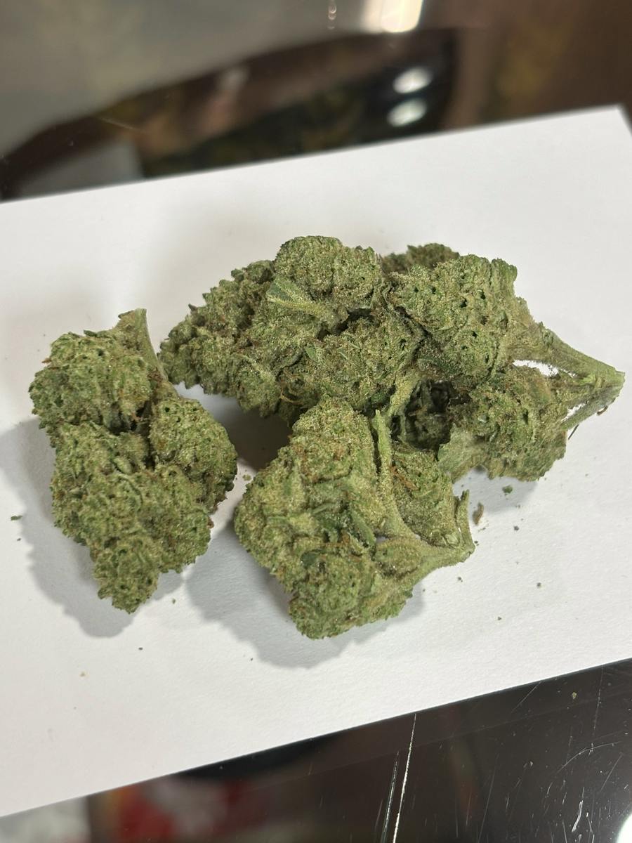 Toxic Diesel