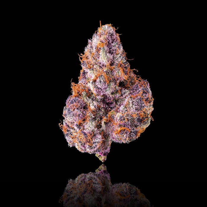 Pacific Wellness — Galactic Warheadz