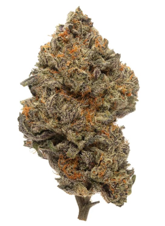 Pacific Wellness Tropic Thunder