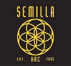 Semilla - Semilla - Shirt (Light Grey) - Semilla - Shirt (Light Grey)