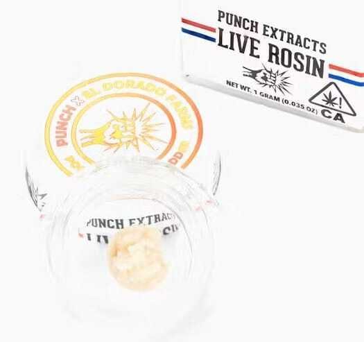 Punch Extracts: Poochie Berto - Tier 4 - Punch Extracts - Live Ro
