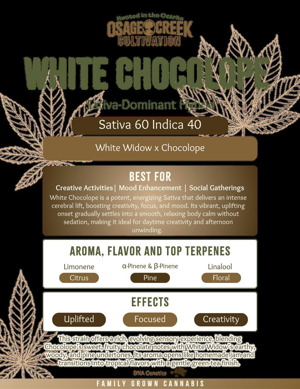 White Chocolope Live Resin Sugar at The Treatment Cannabis Dispensary