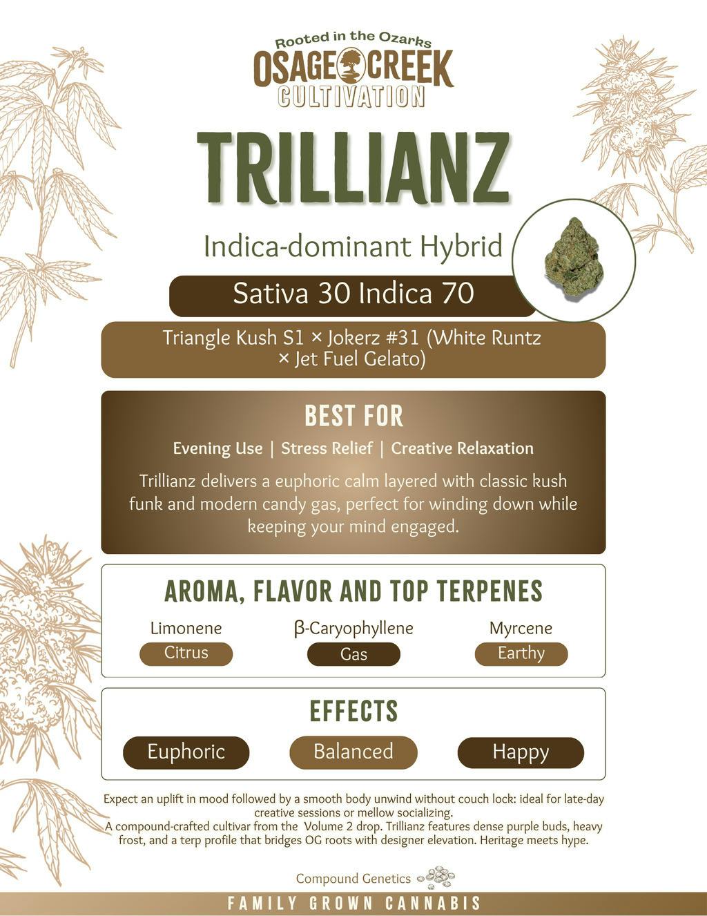 Trillianz Flower at The Treatment Cannabis Dispensary
