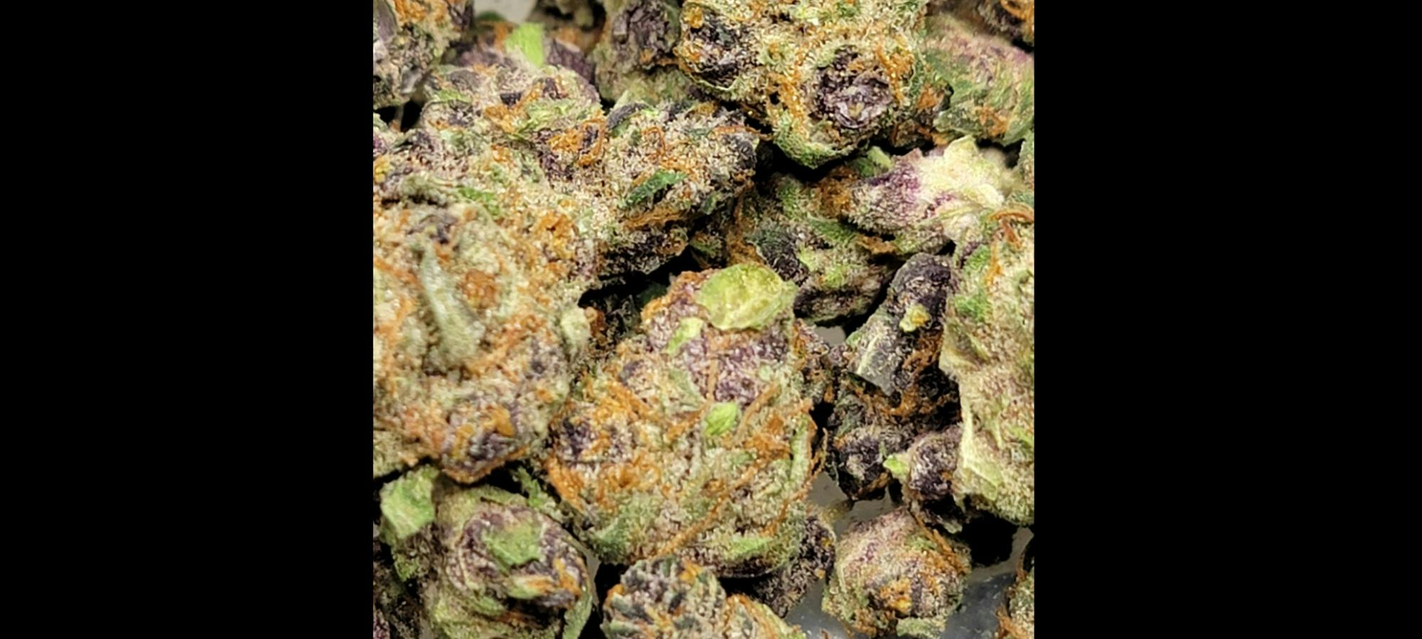 BioMeds | Troy Good Bet On Me 32.4 % THC | Bulk