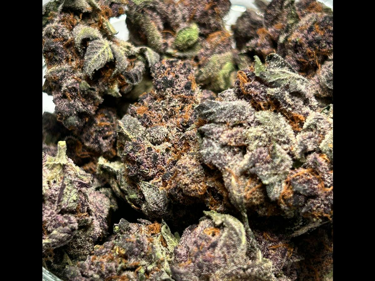 Biomeds | Lemon Cherry Gelato | Bulk