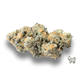 BULK FLOWER - Vanilla Frosty