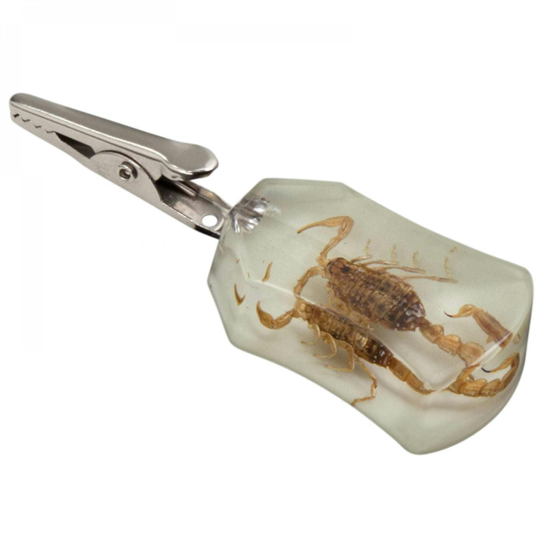 Bug Roach Clips - Glow in the dark Scorpion