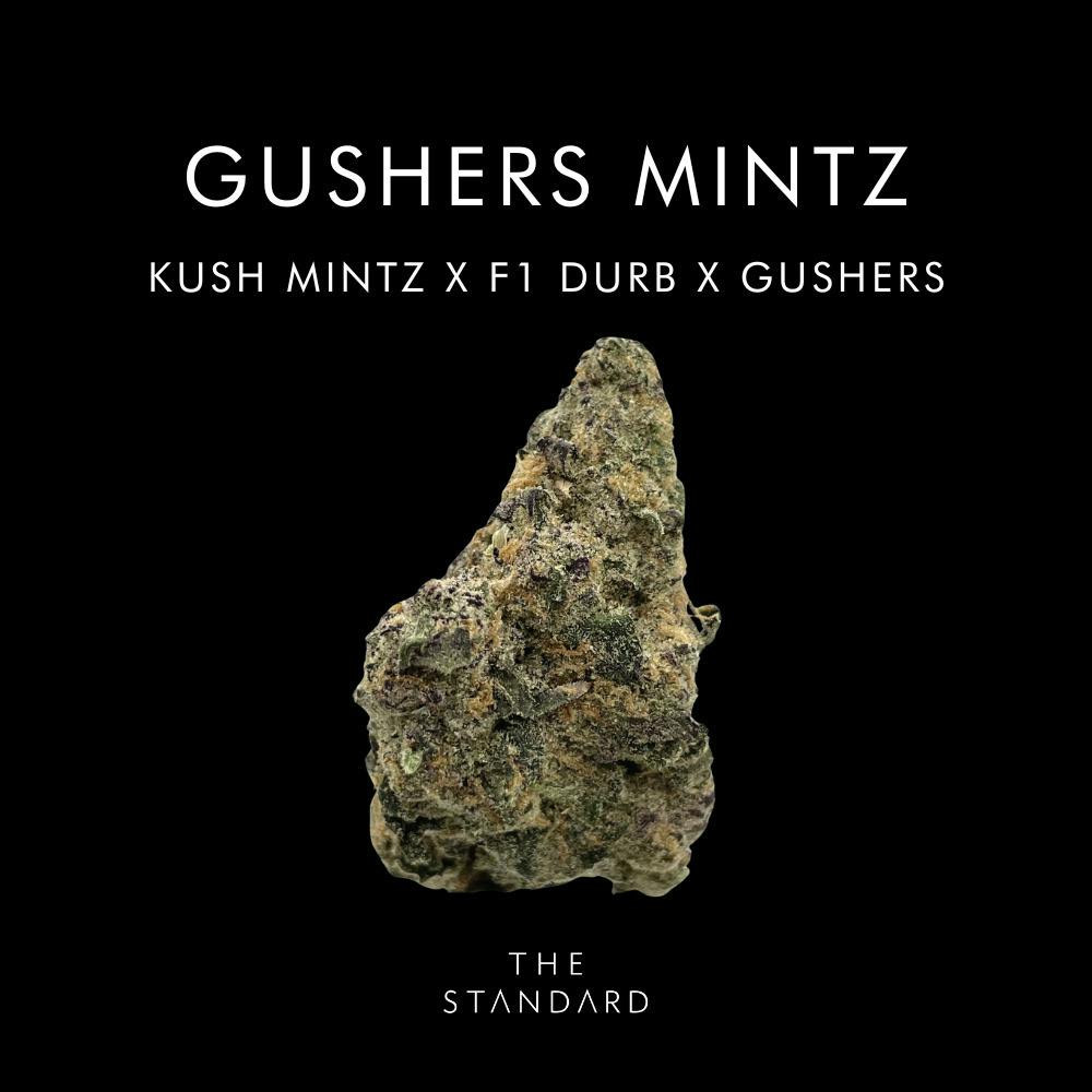 The Standard: Gushers Mintz