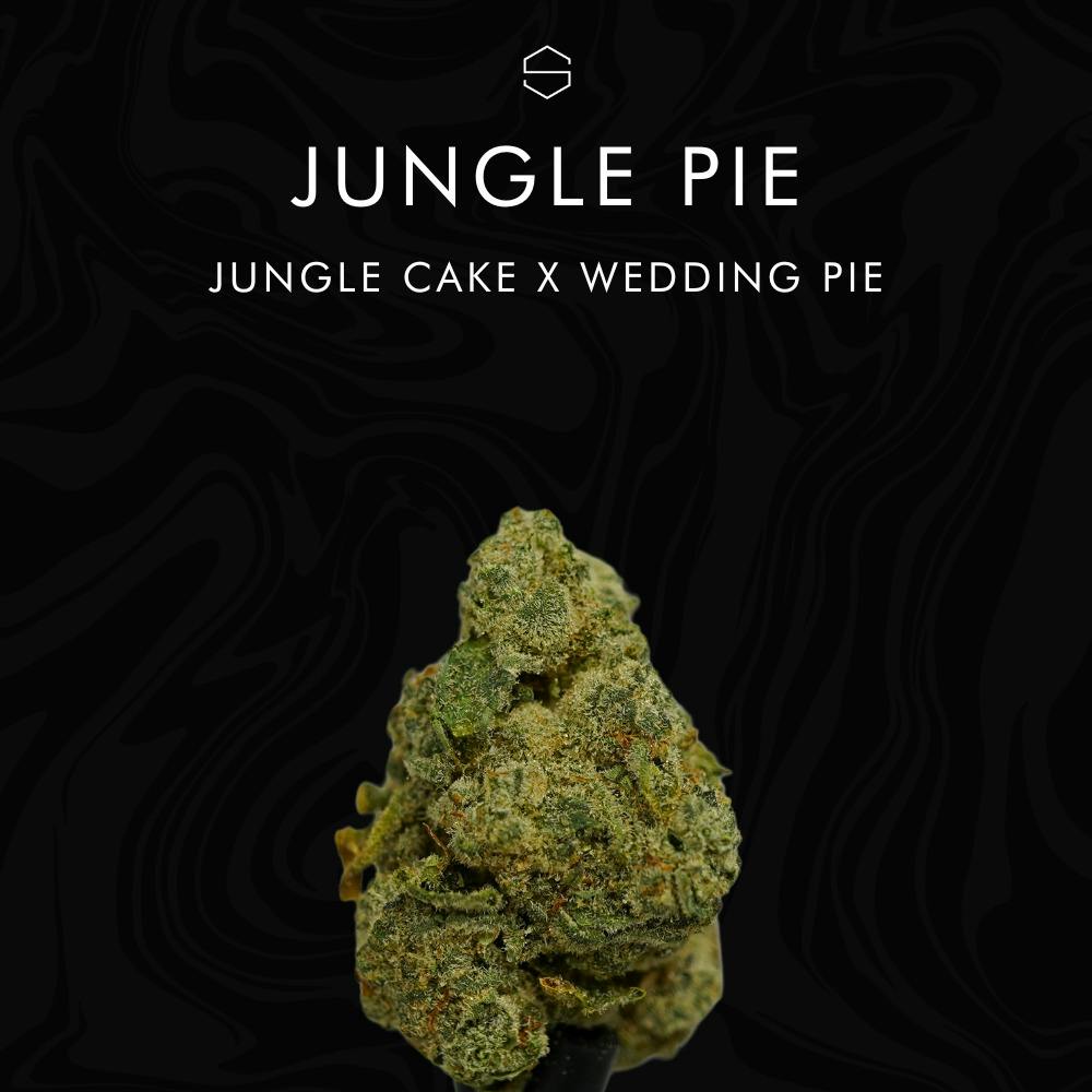 The Standard: Jungle Pie