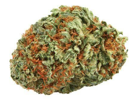 Route 66 - 3.5g