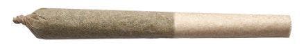 Garlic Z Pre-Rolls - 1x0.5g