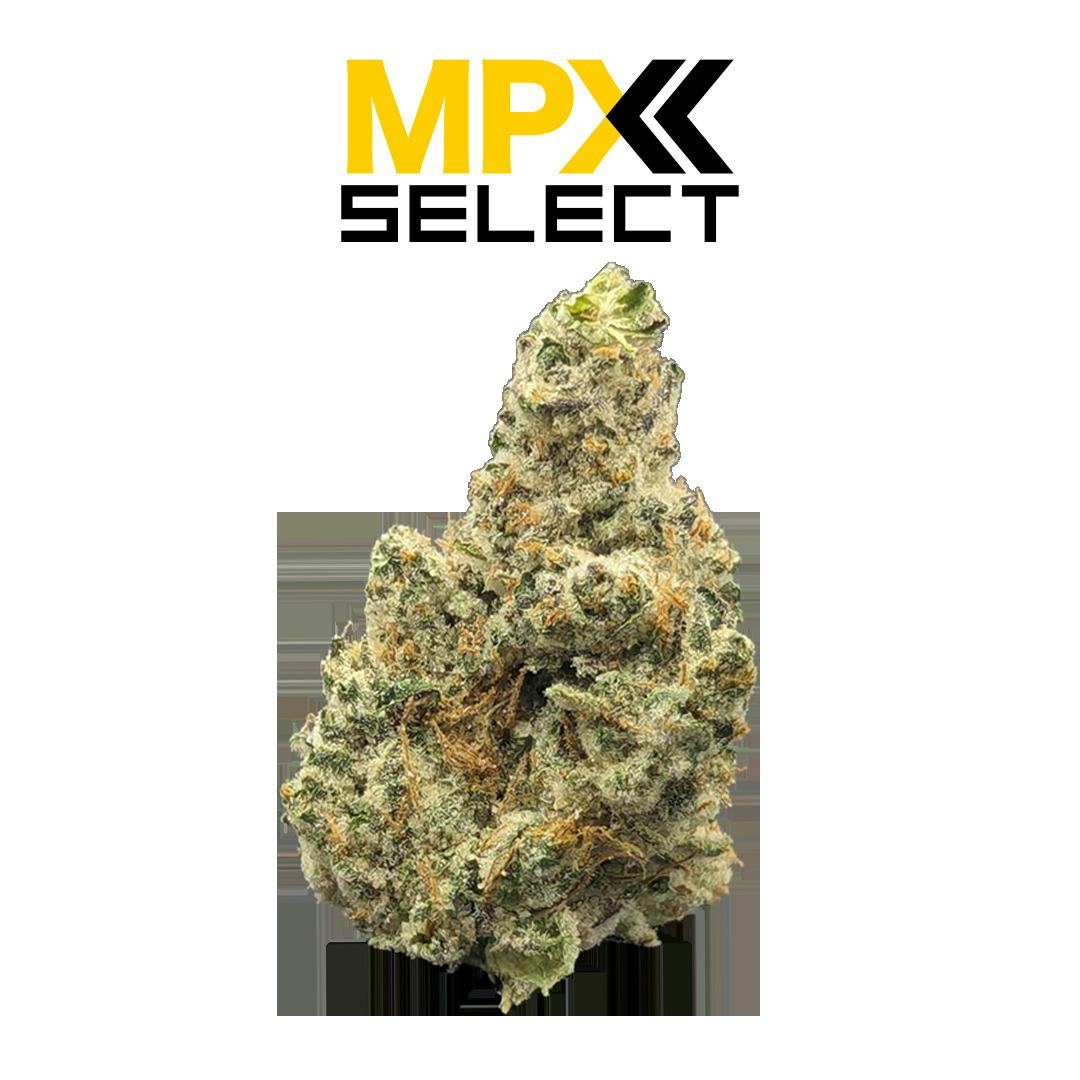 MPX Select™ Strawberry Limeade Flower