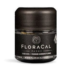FloraCal™ — Gastro Pop