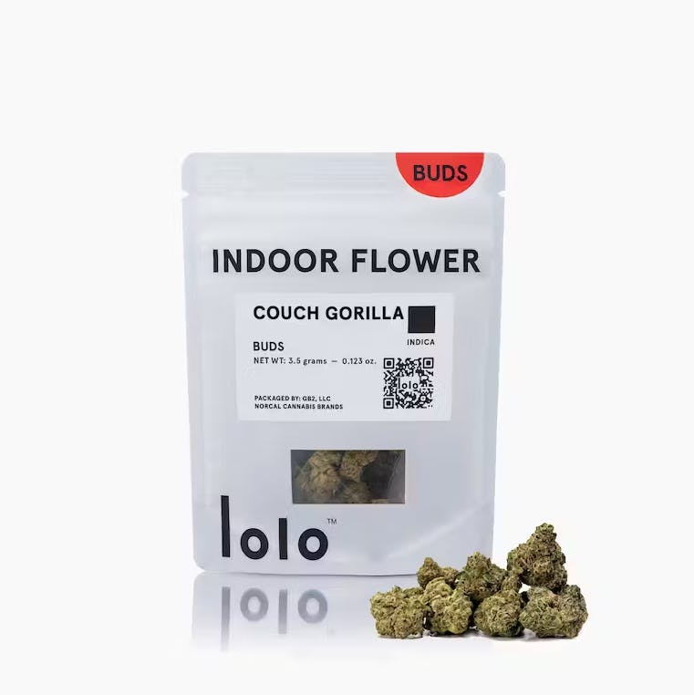 lolo — Couch Gorilla