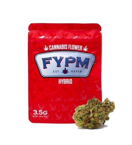 FYPM — 9 Pound Hammer