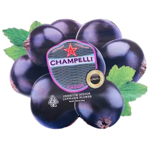 Champelli — Cassis