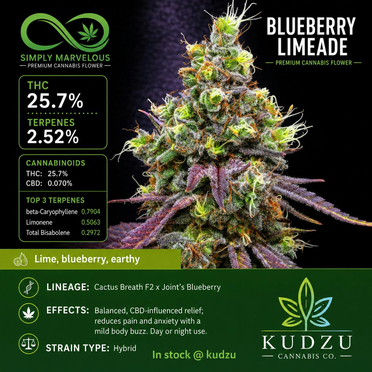 3.5g Blueberry Limeade