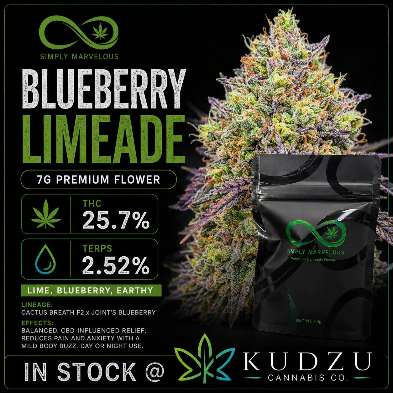 7g Blueberry Limeade
