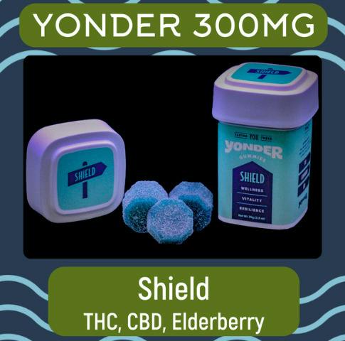 300mg Shield Blueberry
