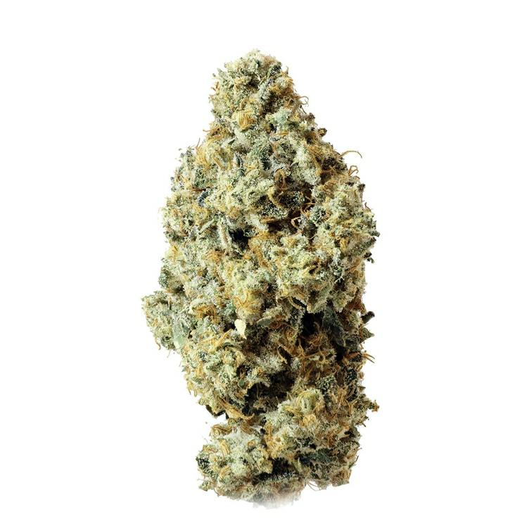 Thumbs Up- Frosted Fruit Cake x Sunset Sherb (Rainbow Sherbert) Indica 25.7%- 14g
