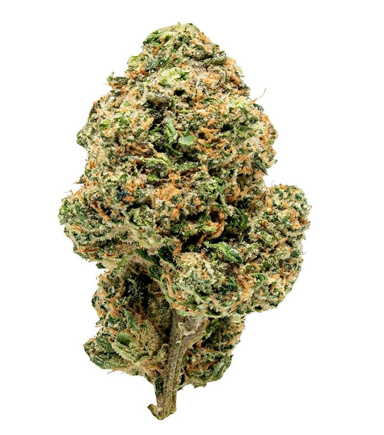 Overtime- Clock In (Gorilla Zkittles) Sativa 28%- 3.5g