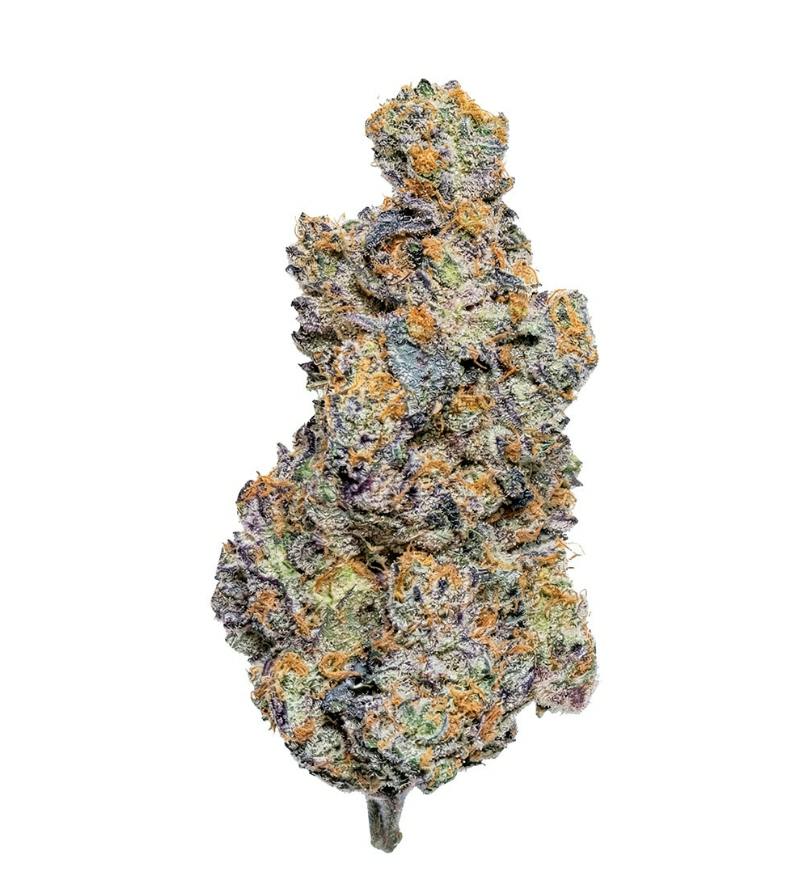 Conspiracy- Reptilian Reserve Sativa (Ice Cream Cake) 27%- 7g
