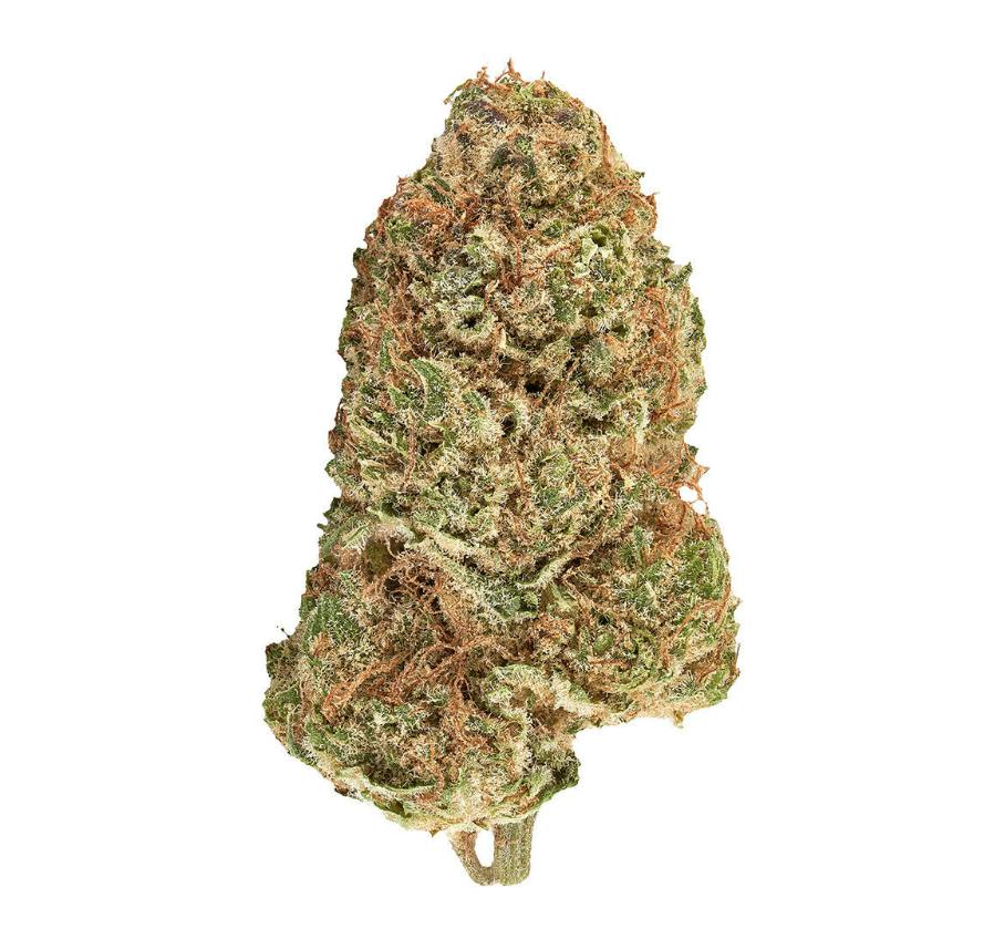 Carnaval Cannabis- Big Bang Smallz (Citroli) Sativa 27.3%- 14g