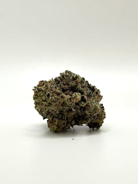 APPLE FRITTER {$45 SHELF}