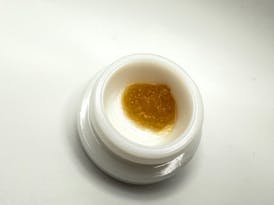 1856 - Live Sugar - Tangidos - 1.0g - MED