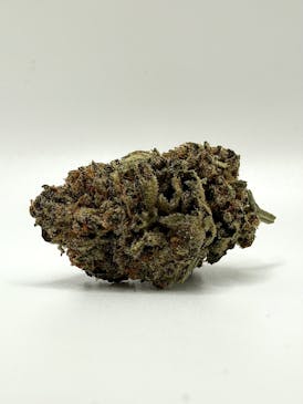 APPLE FRITTER {$55 SHELF}