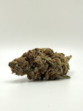 CONCORD CREAM ($55 GOLD SHELF)