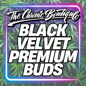 BLACK VELVET PREMIUM BUDS {$100 SHELF}