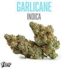 GARLICANE