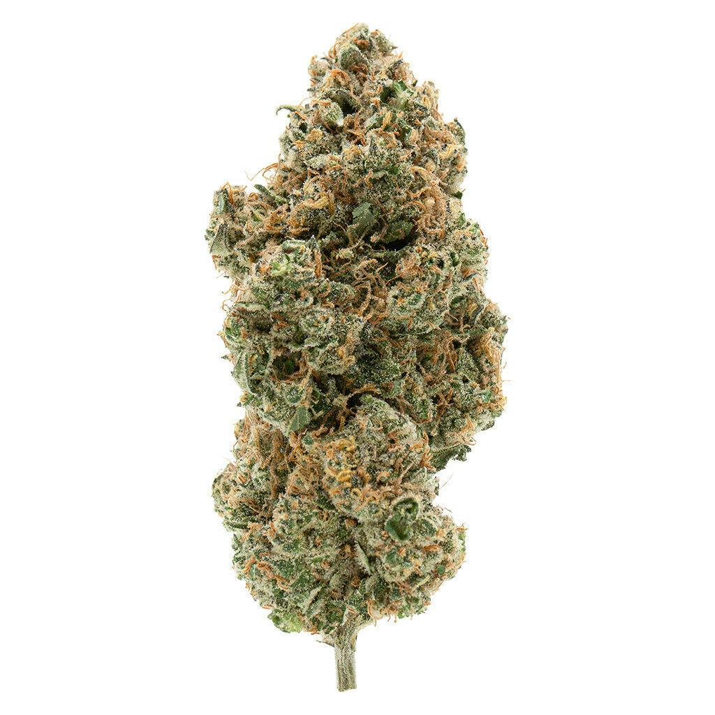 BC Organic Tangerine Sunrise 3.5g Dried Flower
