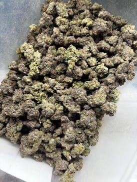 Grape Han Solo Burger | 3.5g