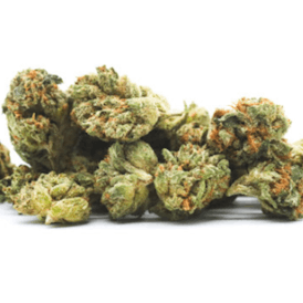 Apples & Bananas (Hybrid) | Smalls