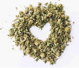 Papaya Punch (Indica) | Shake Oz (28G)