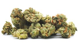 Wedding Crasher (I-Hybrid) | Smalls