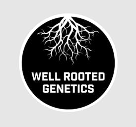 Rumble Runtz (I-Hybrid) | Well Rooted Genetics