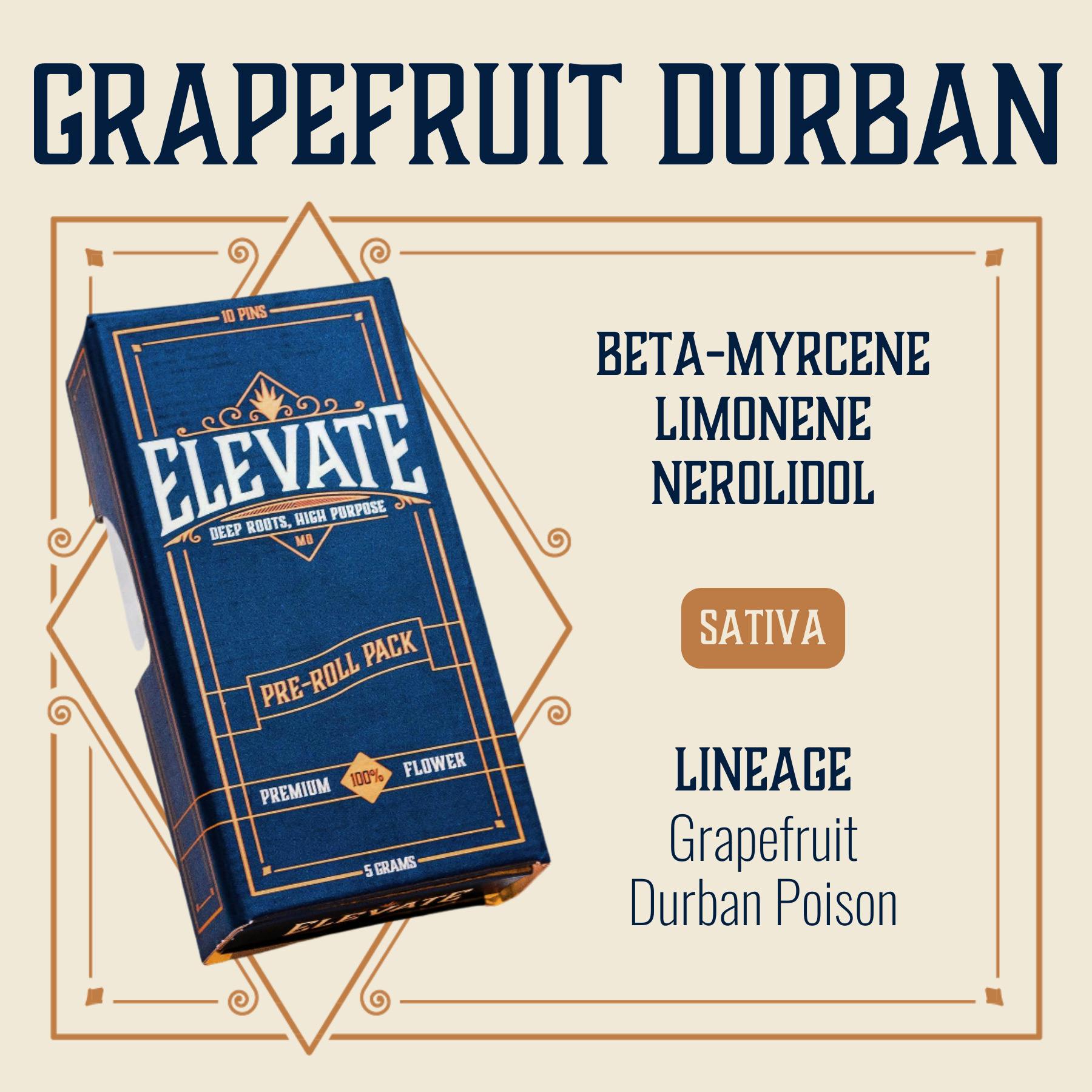 GRAPEFRUIT DURBAN Pre-Roll Pack 5g (10-Pack | 0.5g Each)