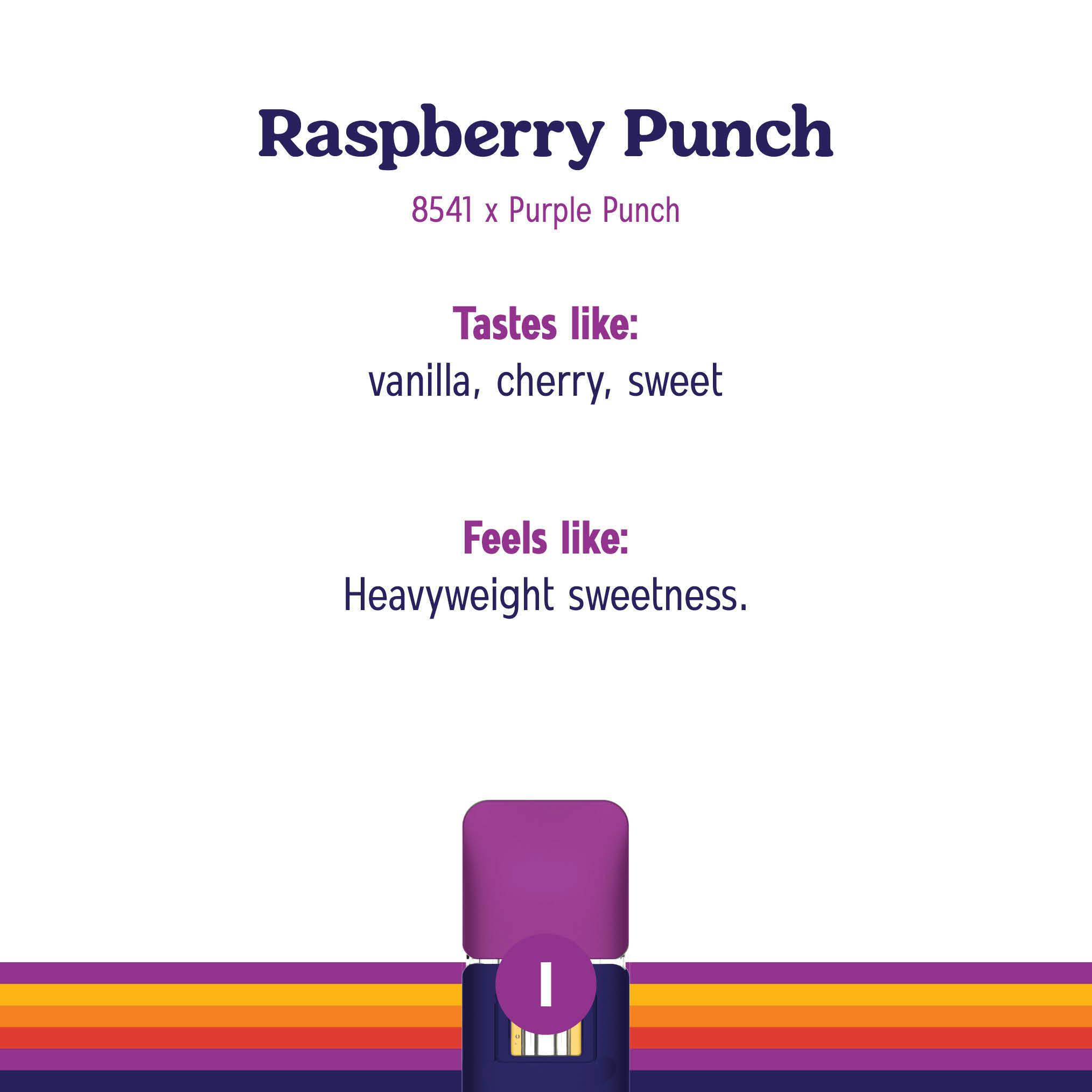 Raspberry Punch Flex All In One