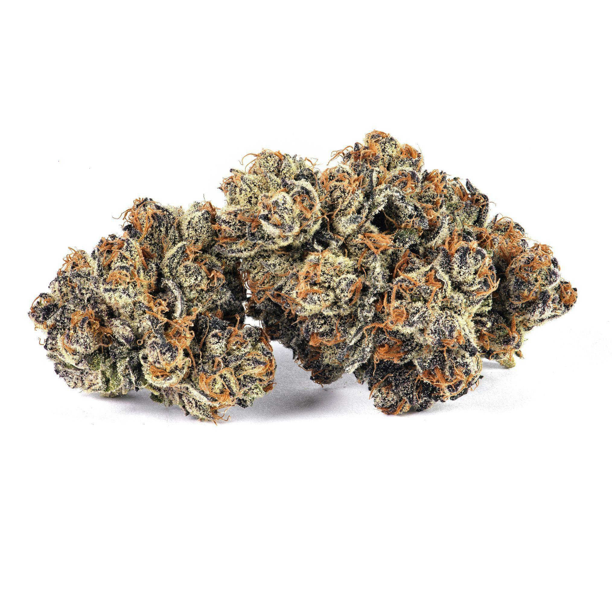 Moonwalkers Flower
