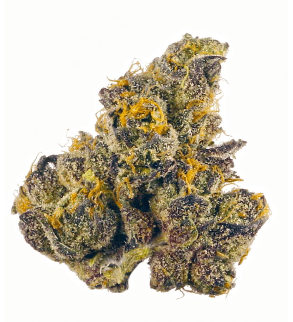 S420 Orange Sherbert (H) 1g by Score 420 Flwr
