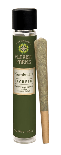 Kombucha 1G Pre Roll