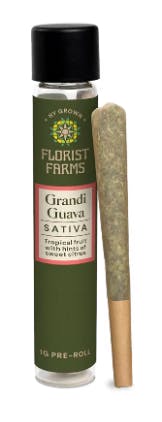 Grandi Guava 1G Pre Roll