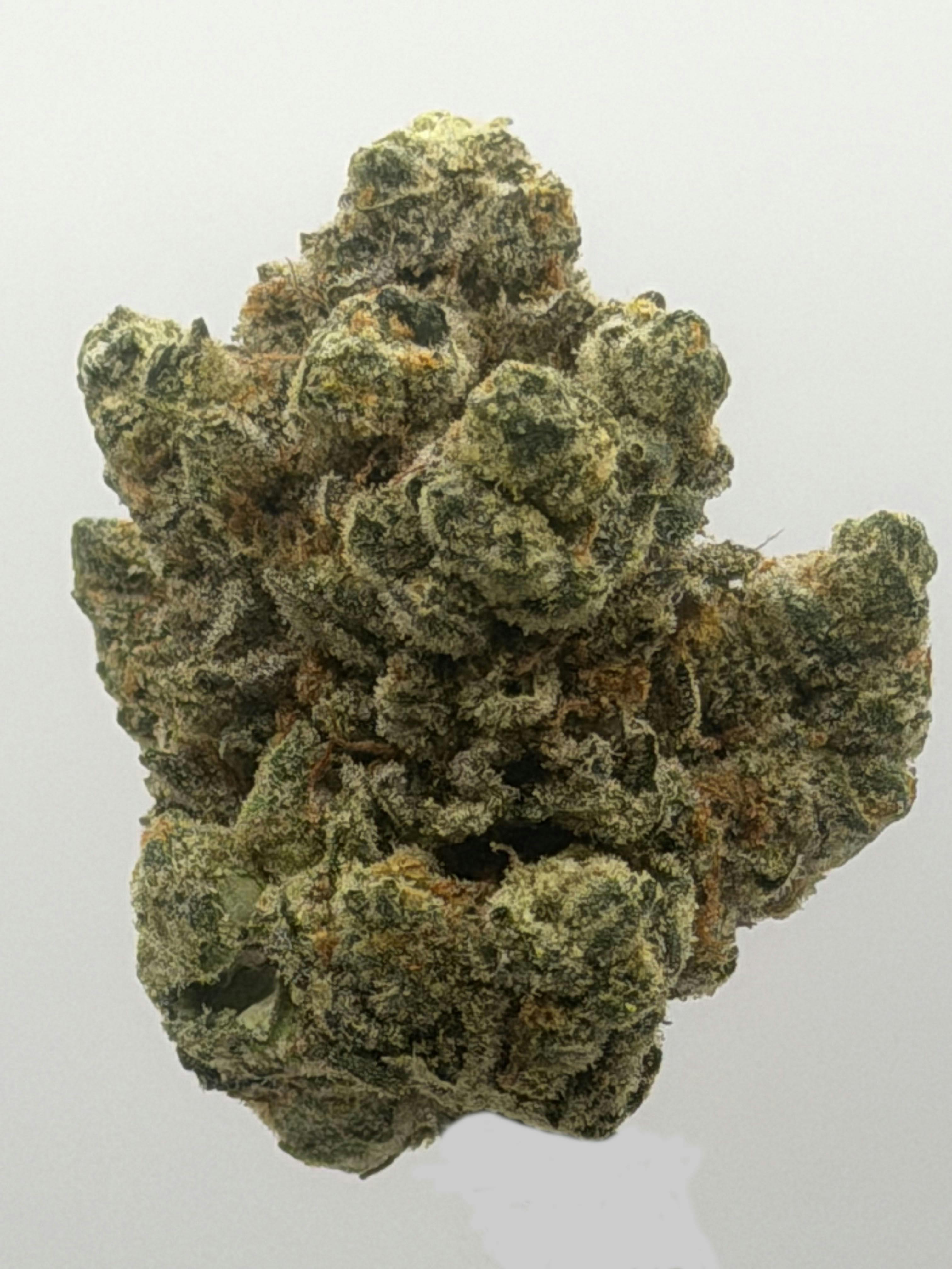 Premium Flower 1 Gram | Fatso at Nitro Organics