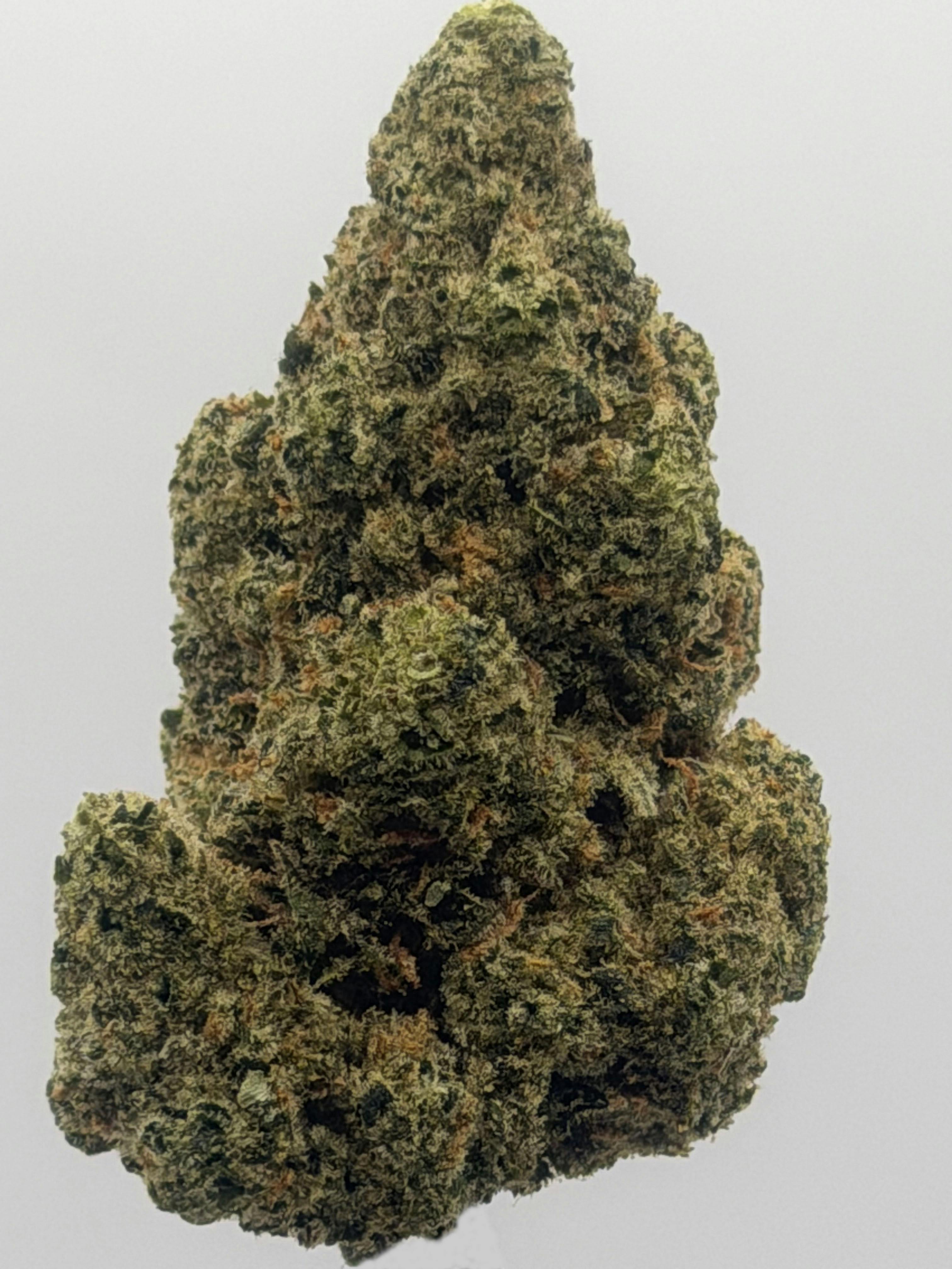 Premium Flower 1 Gram | Jack Herer at Ultra Health Dispensary Lordsburg